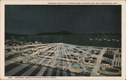 General View of Expedition by Night Postcard