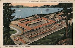 Live Stock Section and Stadium 1948 Postcard