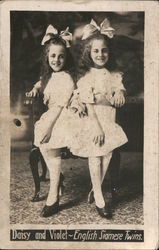 Daisy and Violet - English Siamese Twins Circus Postcard Postcard Postcard