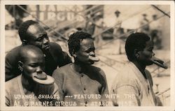 Ubangi Savages Featured With The Al. G Barnes Circus Postcard Postcard Postcard