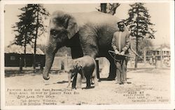 Princess Alice and Baby Pringe Utah- Born April 29, 1918 Circus MULTI PHOTO CO. Postcard Postcard Postcard