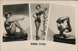 Anne York Acrobat, Contortionist Circus Postcard Postcard Postcard