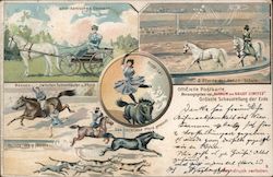 Horse Stunt Illustrations from Barnum & Bailey's Circus Postcard Postcard Postcard