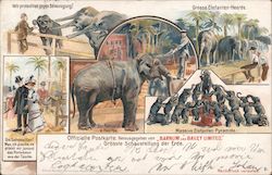 Elephant Exhibition from Barnum & Bailey's Circus Postcard Postcard Postcard