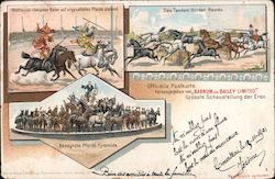 Horse Acts - Barnum and Bailey Circus Postcard Postcard Postcard