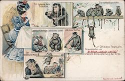 Views of Barnum & Bailey Monkies Circus Postcard Postcard Postcard