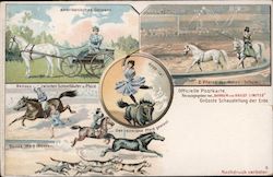 Horse Exhibition Illustrations from Barnum & Bailey's Circus Postcard Postcard Postcard