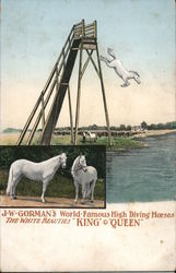 JW GOrman's World Famous High Diving Horses Postcard