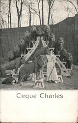 Cirque Charles Several Lions Posing With Tamer Postcard