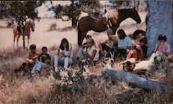 Rankin Ranch Walker's Basin, Kern County Caliente, CA Postcard Postcard Postcard