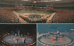 Ringling Bros. and Barnum & Bailey Circus Postcard Postcard Postcard