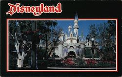 Disneyland Postcard