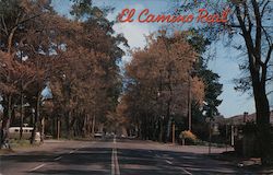 El Camino Real San Francisco, CA Postcard Postcard Postcard