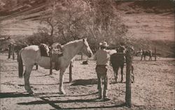 Rankin Ranch Walker's Basin Caliente, CA Postcard Postcard Postcard