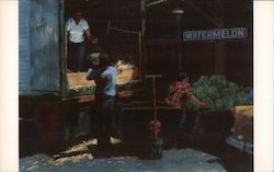 Unloading Watermelon Postcard