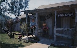 Ma and Pa Kettle's Animal farm at the visitors center at Universal Studios Amusement Parks Postcard Postcard Postcard