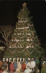 singing Christmas Tree Pacific Grove, CA Postcard Postcard Postcard