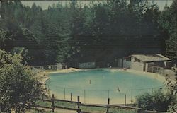 Swimming Pool YMCA Camp of San Francisco Postcard