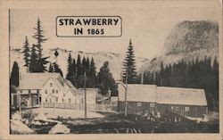 Strawberry in 1865 Kyburz, CA Postcard Postcard Postcard