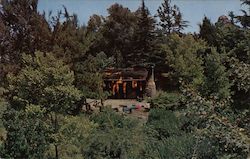 Burning Settler's Cabin - Disneyland Anaheim, CA Postcard Postcard Postcard