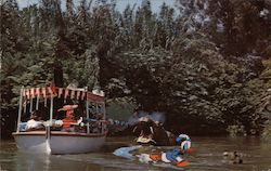 Jungle River Cruise Postcard