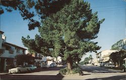 Picturesque Ocean Avenue Postcard