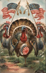 Thanksgiving Greetings Postcard