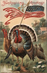 Turkey Carrying American Flag - Thanksgiving Greetings Patriotic Postcard Postcard Postcard