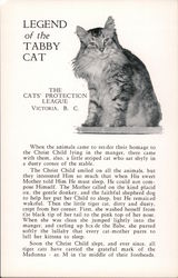 Legend of the Tabby Cat: The Cats' Protection League, Victoria BC Canada Postcard Postcard Postcard