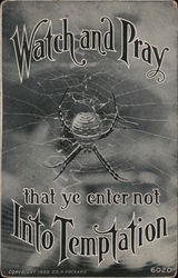 Spider Web: Watch and Pray That Ye Enter Not Into Temptation: Church of Christ Religious Postcard Postcard Postcard