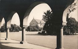 Stanford University Palo Alto, CA Postcard Postcard Postcard