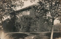 Ivy-Covered House - Possibly Saratoga, or Santa Clara County California Postcard Postcard Postcard