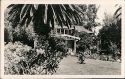 House, Yard, Palm Trees Saratoga, CA Postcard Postcard Postcard