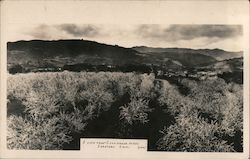 A View From Cunningham Acres Postcard