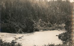 Russian River Postcard