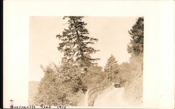 Guerneville Road Postcard