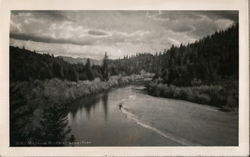 Russian River at Graystone Guerneville, CA W.M. McClearie Postcard Postcard Postcard