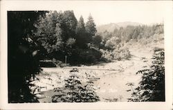 Beach Guernewood Park Postcard