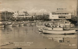 FIsherman's Wharf San Francisco, CA Postcard Postcard Postcard