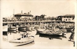 Fisherman Wharf San Francisco, CA Postcard Postcard Postcard