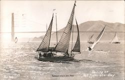 Sailing on San Francisco Bay Postcard