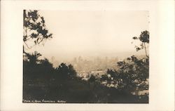 From a San Francisco Hilltop California Postcard Postcard Postcard