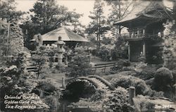 Oriental Gardens, Golden Gate Park San Francisco, CA Postcard Postcard Postcard