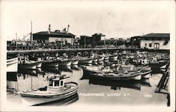 Fisherman's Wharf San Francisco, CA Postcard Postcard Postcard