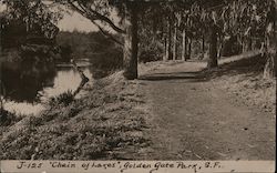 "Chain of Lakes" - Golden Gate Park J-125 Postcard