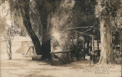 Bridge Near Gold Fish Lake, Sonoma Co. Postcard