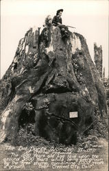 The Del Norte Wonder Stump of Eternal Redwood Crescent City, CA Postcard Postcard Postcard