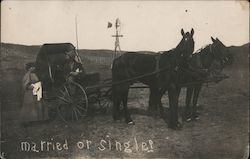 Married or Single? A Man in a Horse Drawn Carriage Talking to a Woman Postcard