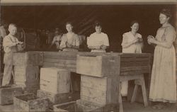 Women, Child Fruit Packing House Postcard