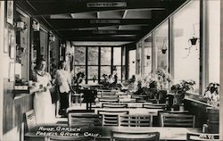 Roof Garden Pacific Grove, CA Postcard Postcard Postcard